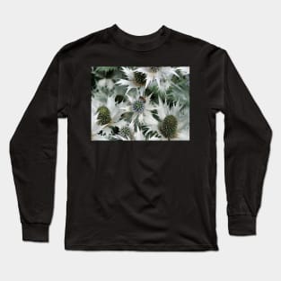 Eryngium giganteum 'Silver Ghost' giant sea holly and a bee Long Sleeve T-Shirt